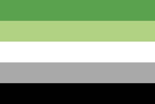 Aromantic-Pride
