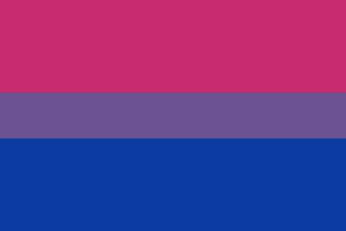 Bisexual-Pride