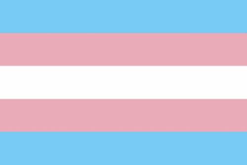 Trans-Pride